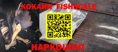 стаф Камышлов