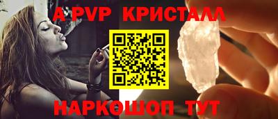 стаф Камышлов