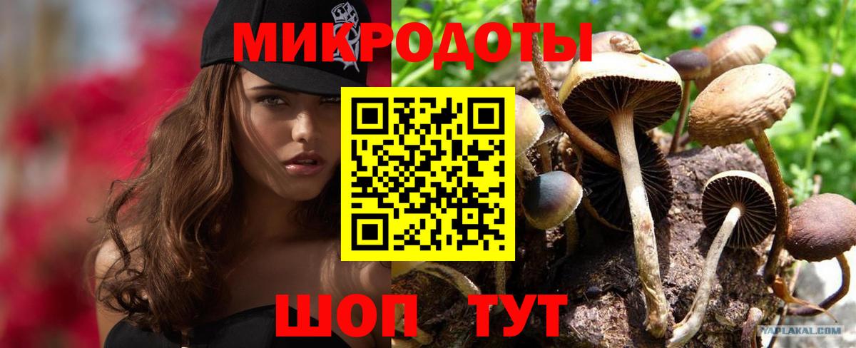 Галлюциногенные грибы Cubensis Дербент