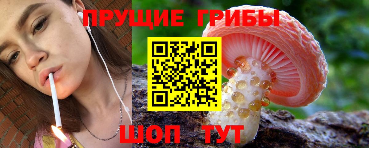 Псилоцибиновые грибы Psilocybine cubensis  Псилоцибиновые грибы GOLDEN TEACHER  Вход с VPN  Дербент 